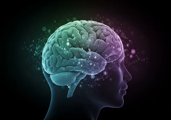 Brain with interconnected factors representing ASPD origins
